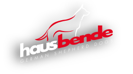 Haus Bende Logo