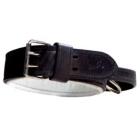 Leather Training Collar
